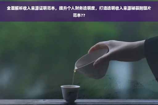 全面解析收入来源证明范本，提升个人财务透明度，打造透明收入来源秘籍附图片范本??