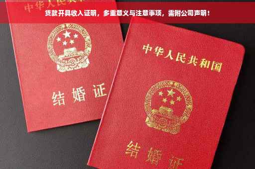 贷款开具收入证明，多重意义与注意事项，需附公司声明！
