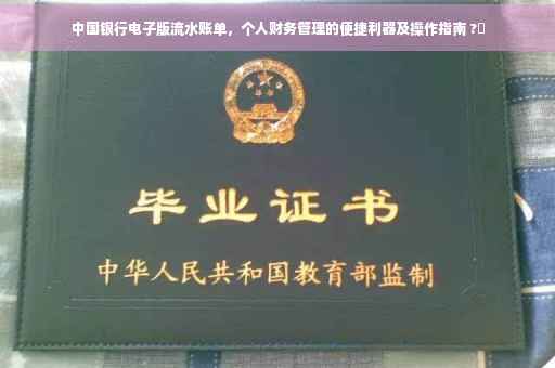 中国银行电子版流水账单，个人财务管理的便捷利器及操作指南 ?✨