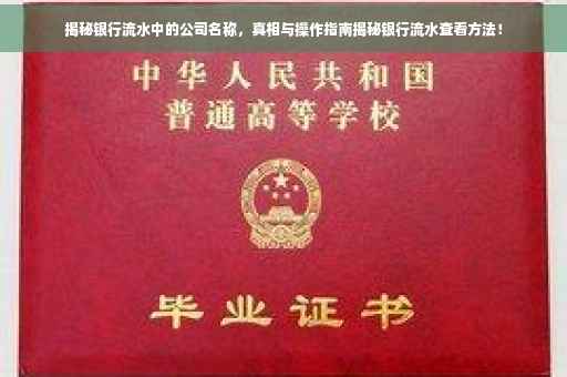 揭秘银行流水中的公司名称，真相与操作指南揭秘银行流水查看方法！