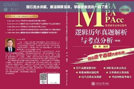 银行流水详解，解读额度信息，掌握资金流动一目了然