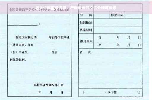 收入证明盖章流程，严谨重要的文件处理与要求