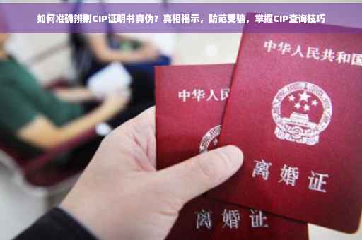 如何准确辨别CIP证明书真伪？真相揭示，防范受骗，掌握CIP查询技巧