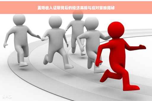 离婚收入证明背后的经济真相与应对策略揭秘