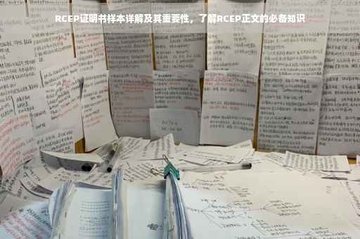 RCEP证明书样本详解及其重要性，了解RCEP正文的必备知识