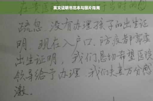 英文证明书范本与图片指南