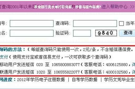 农业银行流水单打印详解，步骤与操作指南?