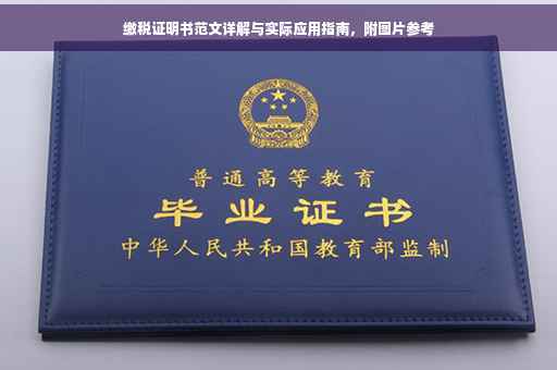 缴税证明书范文详解与实际应用指南，附图片参考