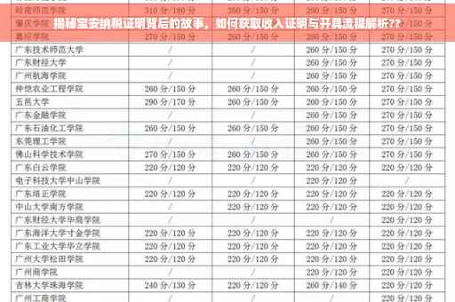 揭秘宝安纳税证明背后的故事，如何获取收入证明与开具流程解析??