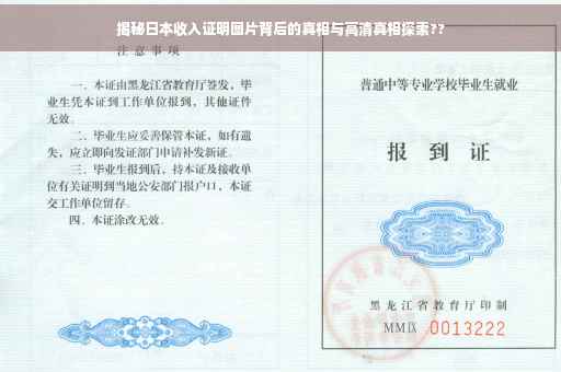 揭秘日本收入证明图片背后的真相与高清真相探索??