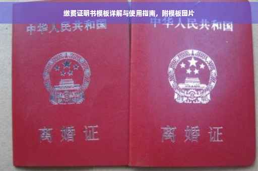 缴费证明书模板详解与使用指南，附模板图片