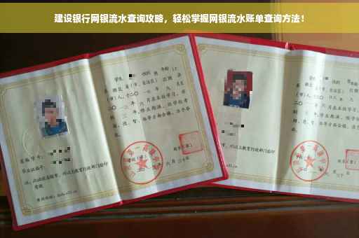 建设银行网银流水查询攻略，轻松掌握网银流水账单查询方法！