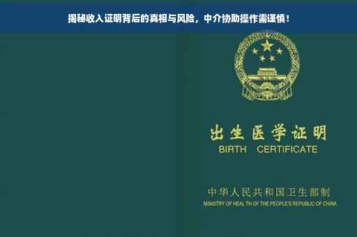 揭秘收入证明背后的真相与风险，中介协助操作需谨慎！