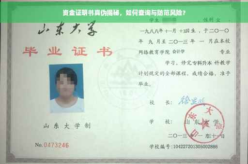 资金证明书真伪揭秘，如何查询与防范风险？