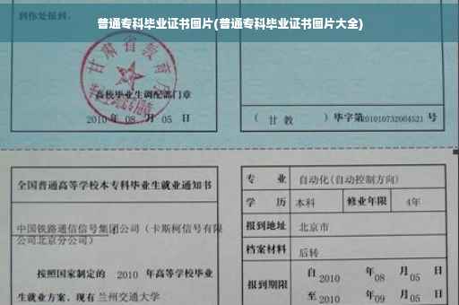 普通专科毕业证书图片(普通专科毕业证书图片大全)