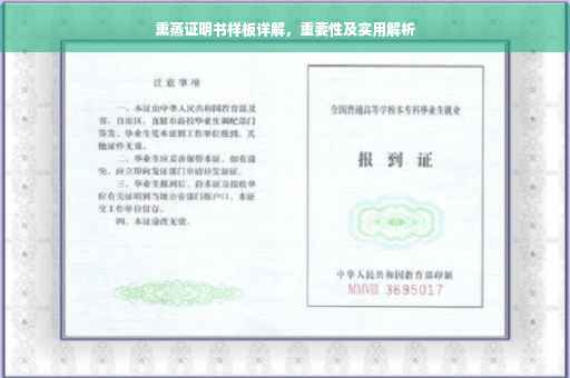 熏蒸证明书样板详解，重要性及实用解析