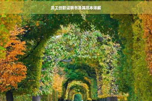 员工任职证明书及其范本详解