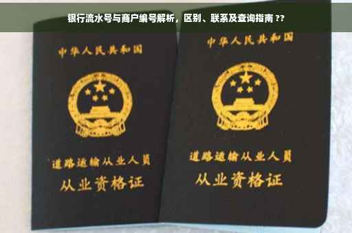 银行流水号与商户编号解析，区别、联系及查询指南 ??
