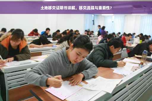 土地移交证明书详解，移交流程与重要性?