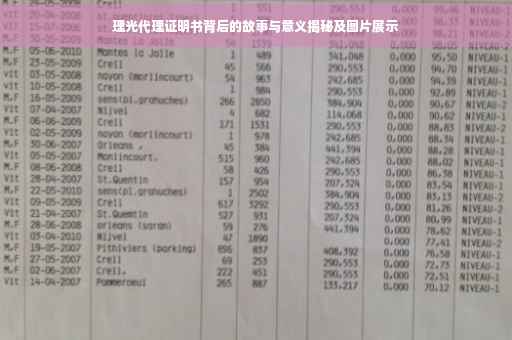 理光代理证明书背后的故事与意义揭秘及图片展示