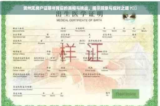 贵州无房户证明书背后的真相与挑战，揭示现象与应对之道 ?⚡️
