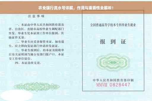 农业银行流水号详解，作用与重要性全解析！