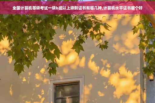 全国计算机等级考试一级b或以上级别证书有哪几种,计算机水平证书哪个好