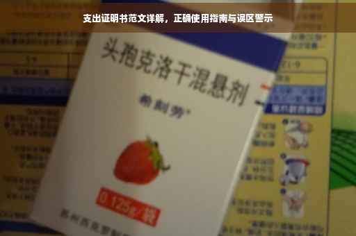 支出证明书范文详解，正确使用指南与误区警示