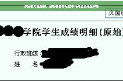 诊所的力量揭秘，证明书的背后故事与开具流程全解析