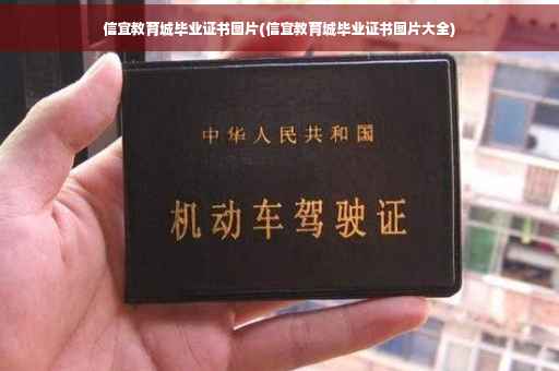 信宜教育城毕业证书图片(信宜教育城毕业证书图片大全)