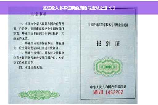 签证收入多开证明的风险与应对之道 ?⚡️