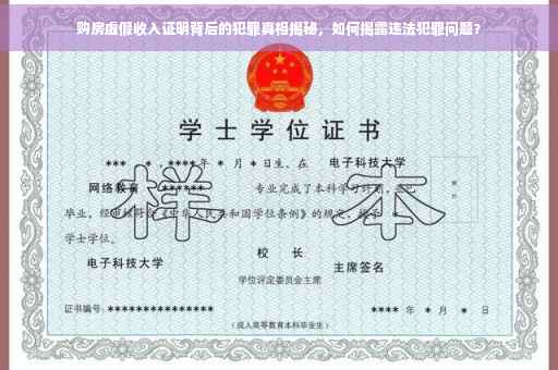 购房虚假收入证明背后的犯罪真相揭秘，如何揭露违法犯罪问题？