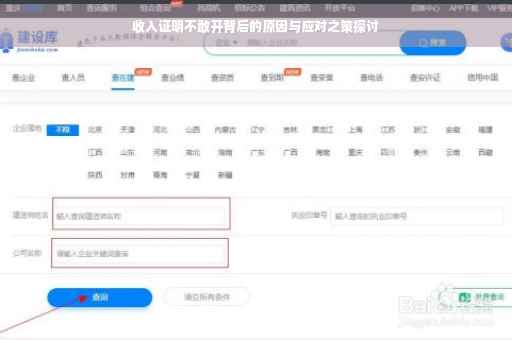 收入证明不敢开背后的原因与应对之策探讨