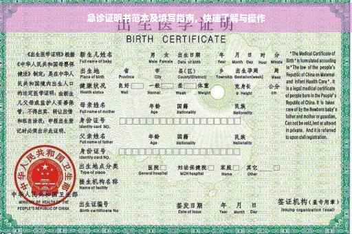 急诊证明书范本及填写指南，快速了解与操作