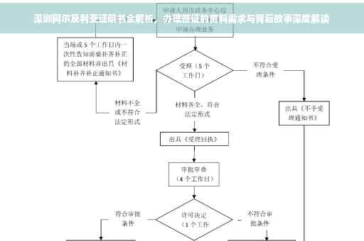 深圳阿尔及利亚证明书全解析，办理签证的资料需求与背后故事深度解读