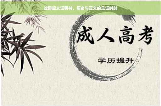 沈醉起义证明书，历史与正义的见证时刻