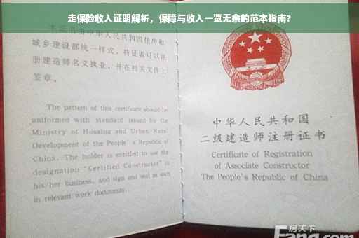走保险收入证明解析，保障与收入一览无余的范本指南?