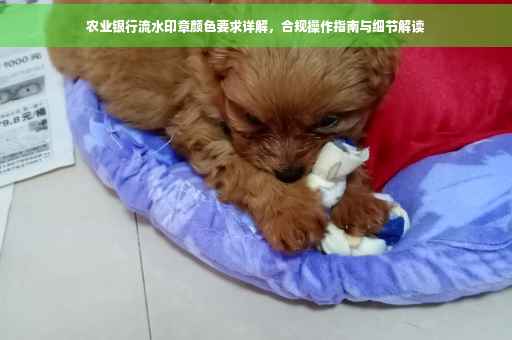 农业银行流水印章颜色要求详解，合规操作指南与细节解读