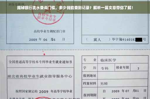 揭秘银行流水查询门槛，多少钱能查到记录？解析一篇文章带你了解！