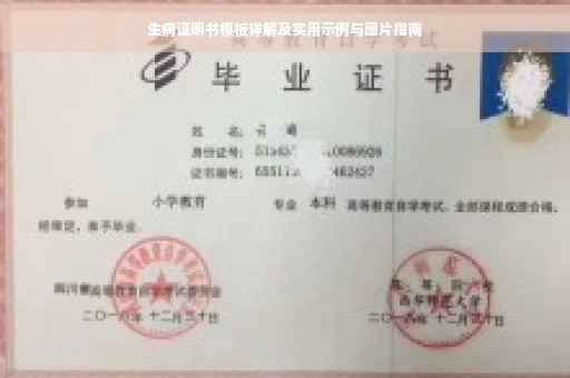 生病证明书模板详解及实用示例与图片指南