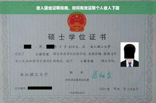 收入降低证明指南，如何有效证明个人收入下降