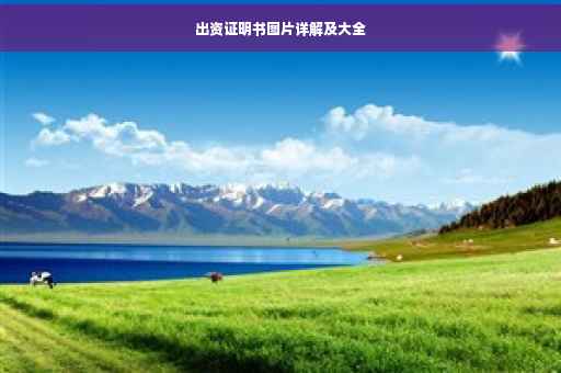 出资证明书图片详解及大全