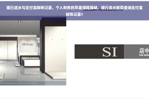 银行流水与支付宝转账记录，个人财务的双重保障揭秘，银行流水能否查询支付宝转账记录？