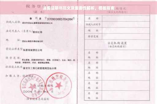消费证明书范文及重要性解析，模板指南