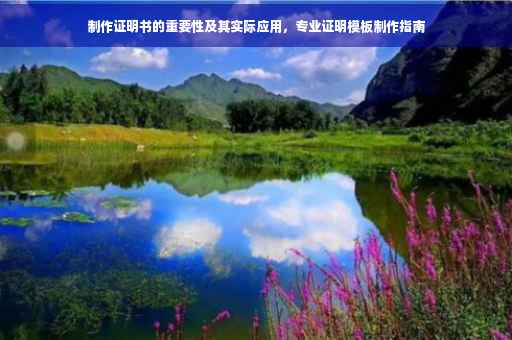 制作证明书的重要性及其实际应用，专业证明模板制作指南