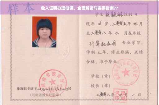 收入证明办理低保，全面解读与实用指南??
