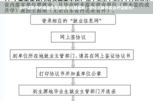 诊疗证明书的重要性及其相关问题解析，如何正确书写诊疗证明书？