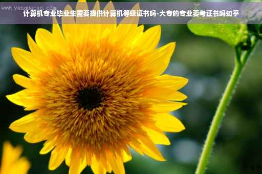 计算机专业毕业生需要提供计算机等级证书吗-大专的专业要考证书吗知乎