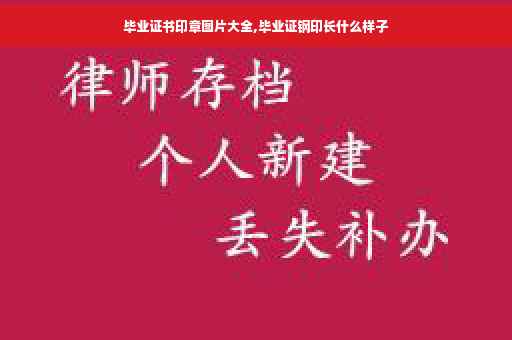 毕业证书印章图片大全,毕业证钢印长什么样子
