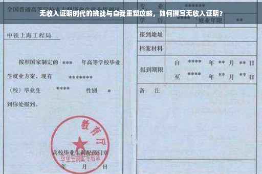 无收入证明时代的挑战与自我重塑攻略，如何撰写无收入证明？